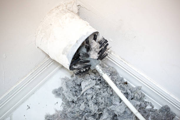 Best HVAC Duct Inspection Services  in Janesville, IA